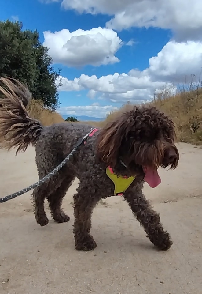 449055333 443533938438422 4059590237262466212 n