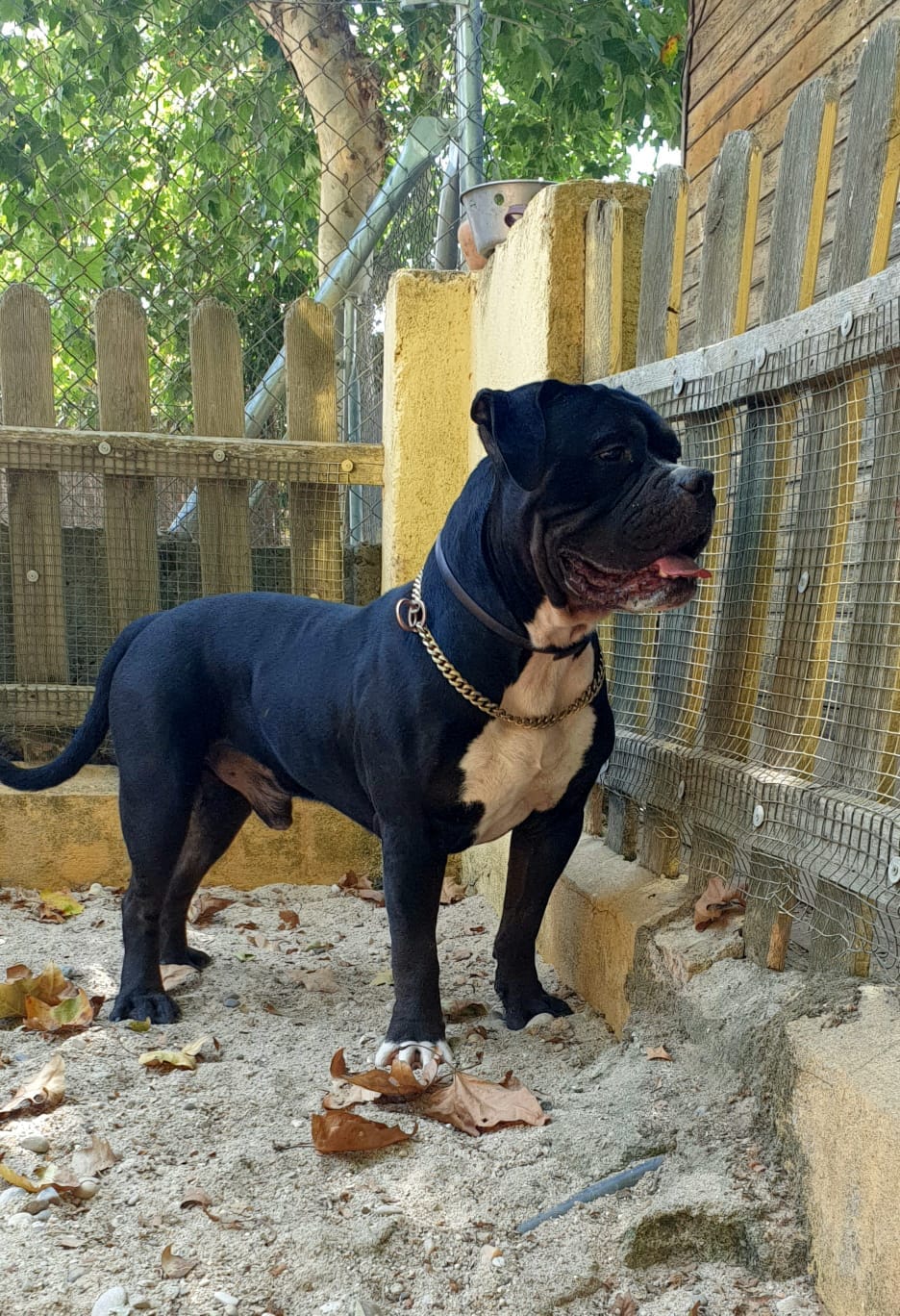 472313908 588500767237912 2974490710693156785 n